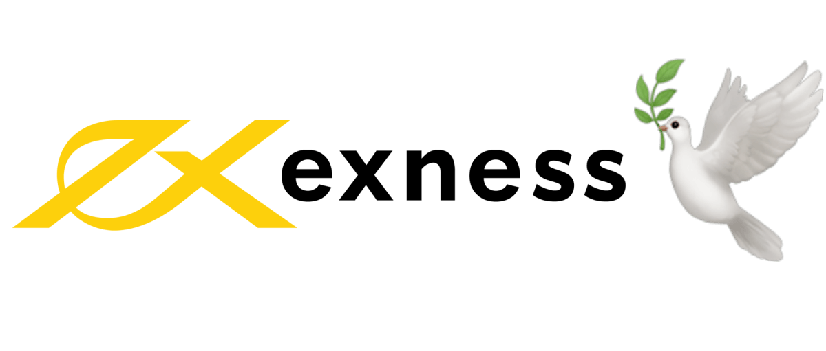 Explore the Features and Benefits of Exness Web Platform